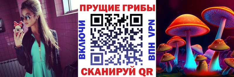 наркотики  Дрезна  Псилоцибиновые грибы Magic Shrooms 